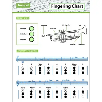 Таблица аккордов трубы, плакат с прогрессиями обычных аккордов, обучающая таблица аппликатуры аккордов, Музыкальная настенная живопись для учителей и студентов